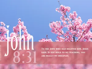 Encourage Yourself With God's Word Wallpaper