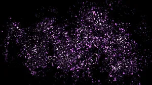 Enjoy A Magical Display Of Color And Light With Purple Glitter Wallpaper