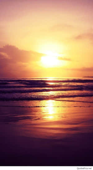 Enjoy A Magnificent Sunset While Mediating Against The Backdrop Of Beautiful Sandy Beach. Wallpaper