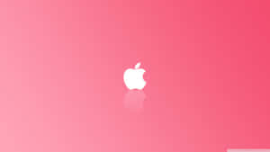 Enjoy A Simple Pink Wallpaper Wallpaper