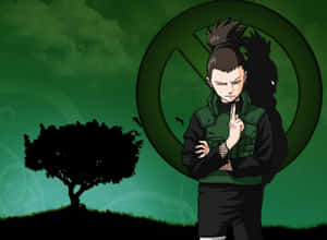 Enjoy Life's Calming Simplicity Wallpaper