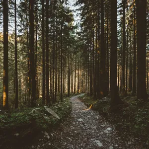 Enjoy Nature's Beauty On Your Ipad Wallpaper