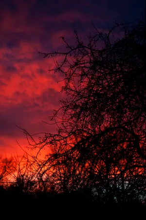 Enjoy The Amazing Colors Of Sunset Wallpaper