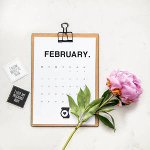 Enjoy The Beautiful Month Of February With This Pretty Pink Rose Calendar Wallpaper