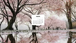 Enjoy The Beauty Of A Spring Meadow In March Wallpaper