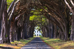 Enjoy The Beauty Of Nature In Cool Places! Wallpaper