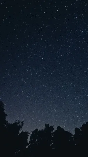 Enjoy The Beauty Of The Night Sky. Wallpaper