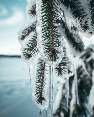 Enjoy The Beauty Of Winter In Arendelle! Wallpaper