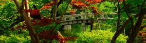 Enjoy The Colors And Beauty Of Spring On Your Dual Monitor Wallpaper