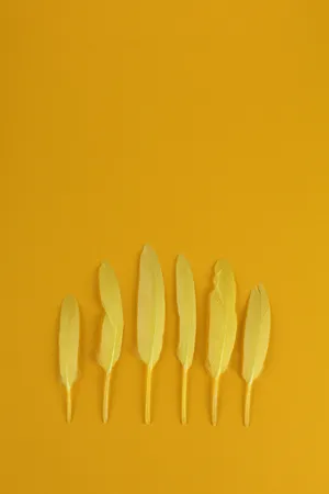 Enjoy The Cool Features Of The Awesome Ipad Wallpaper