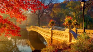 Enjoy The Golden Leaves Of New England Autumn Wallpaper
