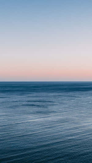 Enjoy The Ocean Vibes With An Aesthetic Phone Wallpaper