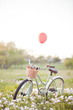 Enjoy The Outdoors With Your Bicycle And Iphone Wallpaper