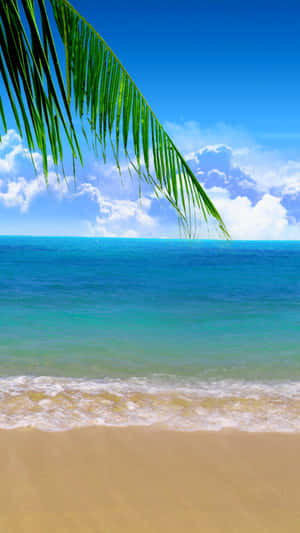 Enjoy The Sand, Sun, And Ocean View While Using Your Iphone At The Summer Beach. Wallpaper