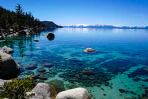 Enjoy The Scenic Beauty Of Lake Tahoe Wallpaper