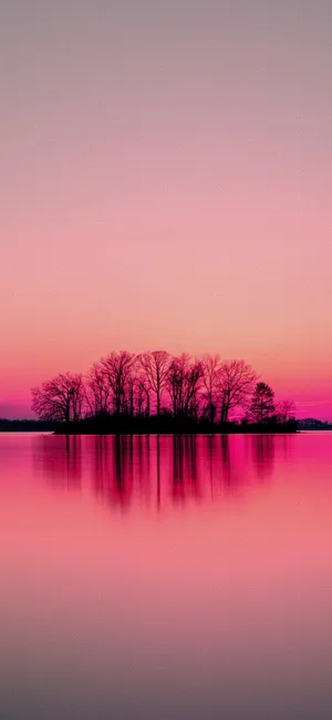 Enjoy The Stunning Hues Of A Pink Sunset From Your Iphone. Wallpaper