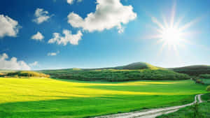 Enjoy The Sunshine Of A Sunny Day! Wallpaper