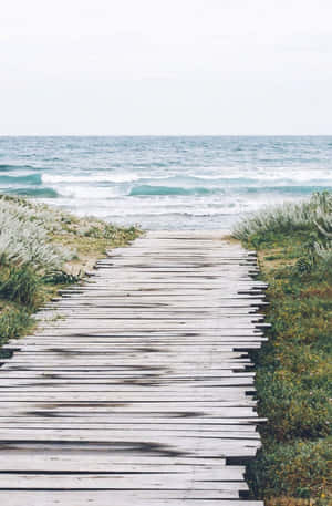 Enjoying A Beautiful Summer Beach Day With Your Iphone Wallpaper