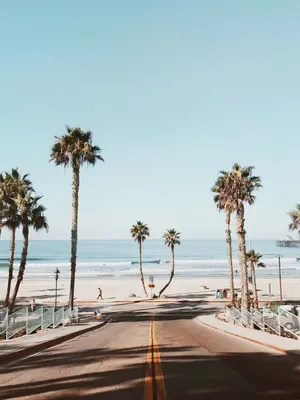 Enjoying A Picturesque Day On The California Coast During Summer Wallpaper