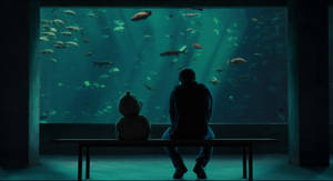 Enjoying The Aquatic Life In The Aquarium Wallpaper