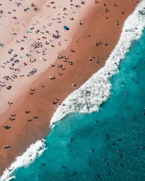 Enjoying The Beach From Above Wallpaper