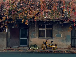 Enjoying The Fall Leaves With A Yellow City Bike Wallpaper