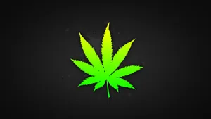 Enjoying The High Life With Stoner Weed Wallpaper