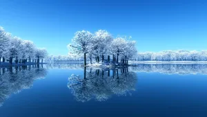 Enjoying The Picturesque Beauty Of Winter Wallpaper