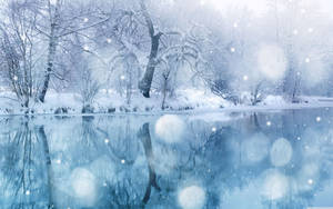 Enjoying The Winter Snowfall In Its Purest Form. Wallpaper