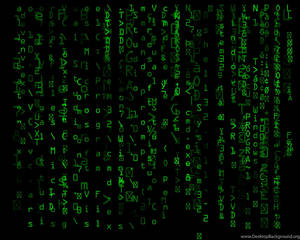 Enter The Matrix Wallpaper