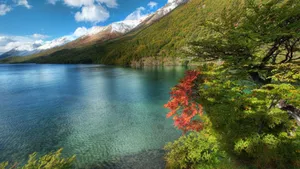 Ethereal Autumn In Japan Wallpaper