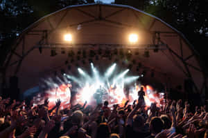 Excited Crowd Dancing At A Music Festival Wallpaper