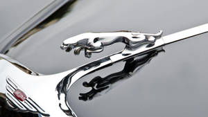 Experience Luxury With The Jaguar Car Logo Wallpaper