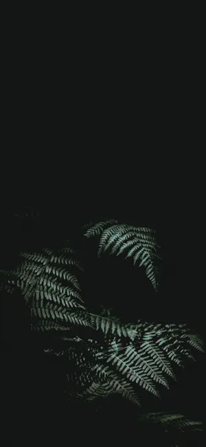 Experience Nature And Modern Technology Through This Unique Combination Of An Iphone And A Potted Plant. Wallpaper