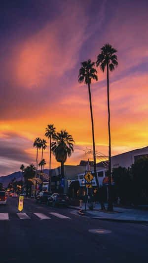 Experience The Perfect California Summer Wallpaper