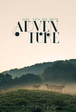 Experience The World Through Your Iphone. Wallpaper