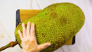 Experiencing Nature's Bounty: Holding A Ripe Jackfruit Wallpaper