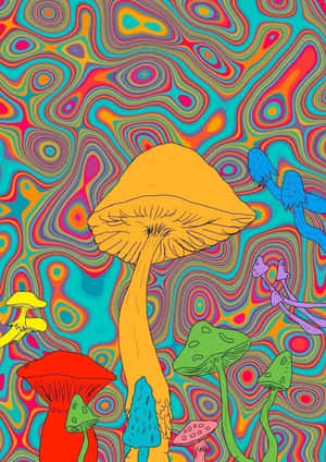 Explore A Different World With Trippy Mushroom