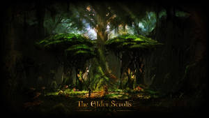 Explore A Vibrant World Of Wonder In The Elder Scrolls Online Wallpaper