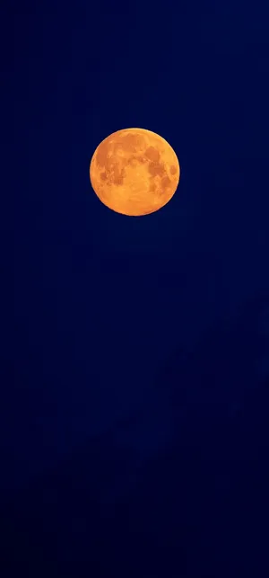 Explore Mysteries Of The Night Under The Light Of The Moon Wallpaper