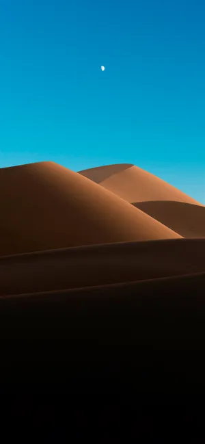 Explore The Beauty Of The Desert With An Iphone Wallpaper