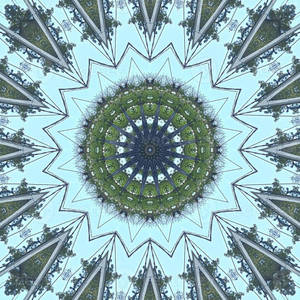 Explore The Depths Of Your Imagination Wallpaper