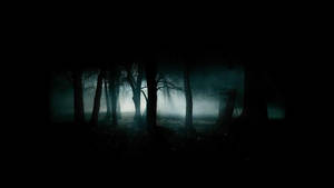 Explore The Eerie Depths Of The Forest Wallpaper