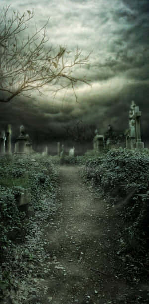 Explore The Mysteries Of The Spooky Night In This Halloween Graveyard. Wallpaper