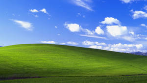Explore The Natural Beauty Of Windows Xp Wallpaper