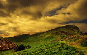 Explore The World From The Convenience Of Your Tablet Wallpaper