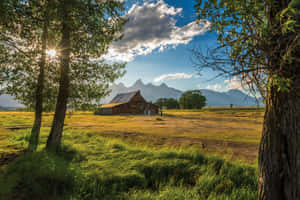 Explore The World Of Google With Beautiful Landscapes Wallpaper