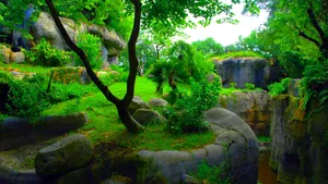 'explore This Lush Green Garden Landscape' Wallpaper