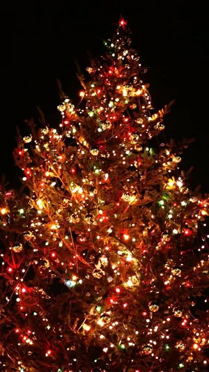Extravagant Christmas Tree Holiday Iphone Wallpaper