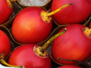 Extreme Close Up Shot Red Tamarillo Fruit Wallpaper